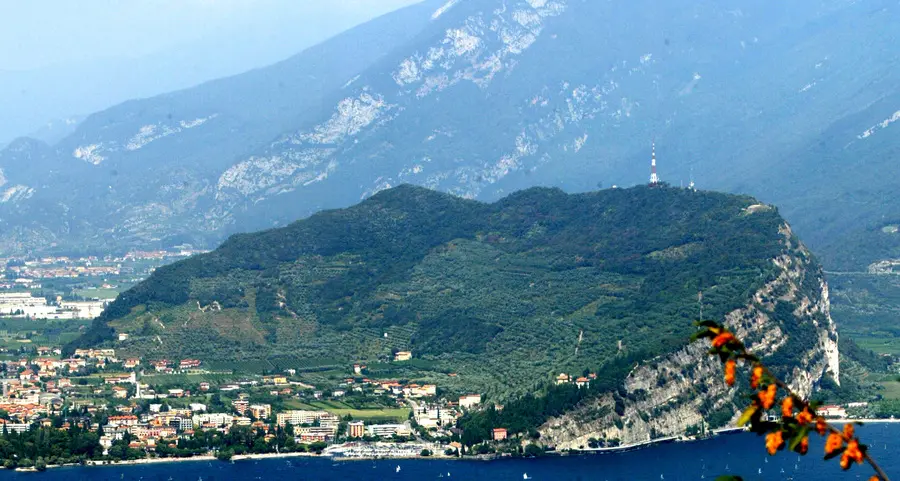 Appello del comitato Sal per salvare le aree verdi