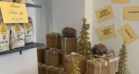 Il panettone della “Serraia” per un Natale di solidarietà