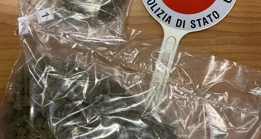 Trento, la polizia ferma un'auto per un controllo e all'interno trova della marijuana