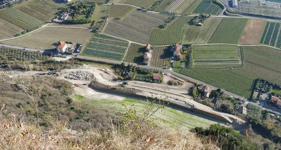 Rimboschimento del vallo tomo: tecnico incaricato