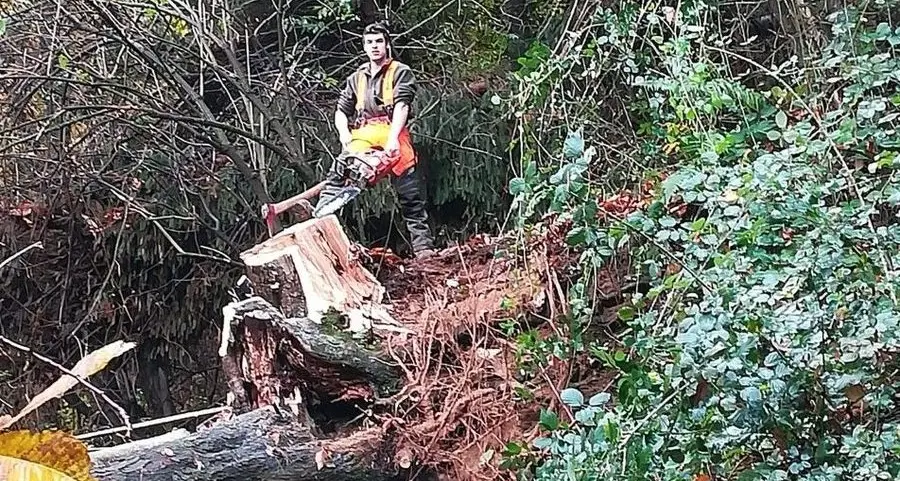 Tutte in videoconferenza le sessioni forestali 2021
