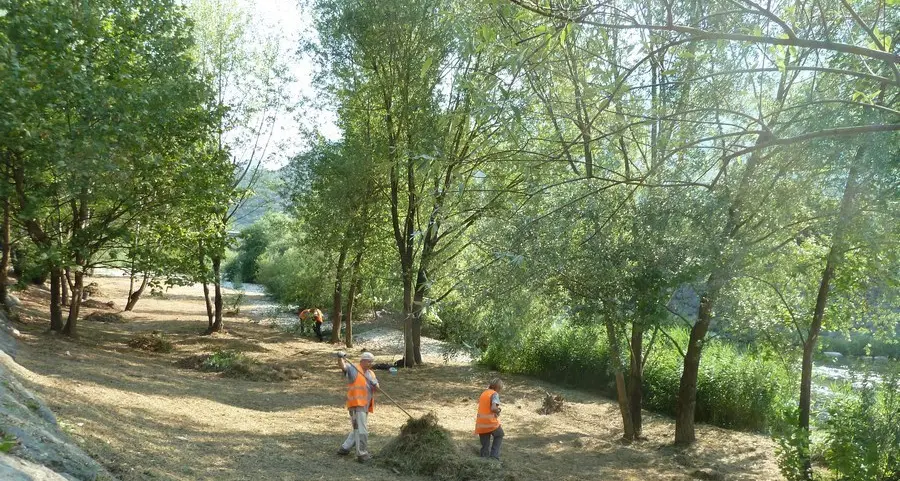 Per «Intervento 19» 180mila euro