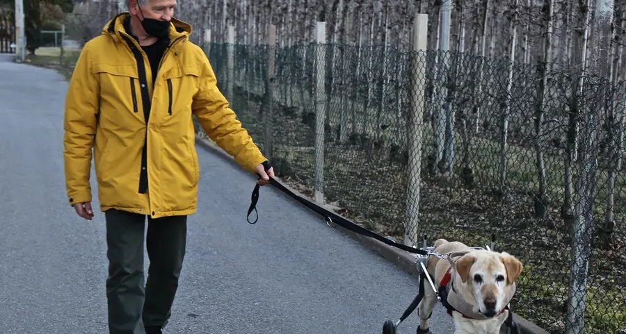 Mia torna a camminare dopo anni di sofferenze
