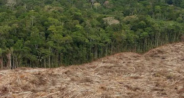 I leader alla Cop26 sul clima: stop alla deforestazione entro il 2030