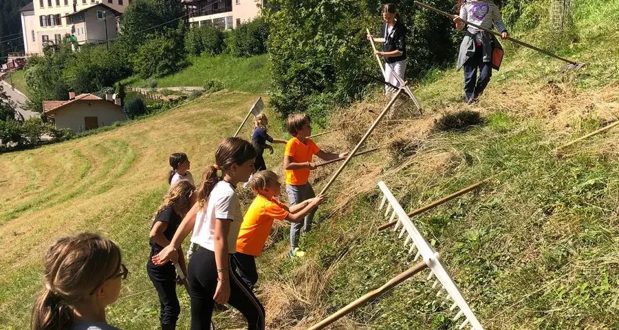 Camp in Trentino, salta il contributo. Vke a caccia di sponsor: «Aiutateci»