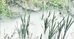 Sotto la Maza di Arco tra Pfas e acqua sporca