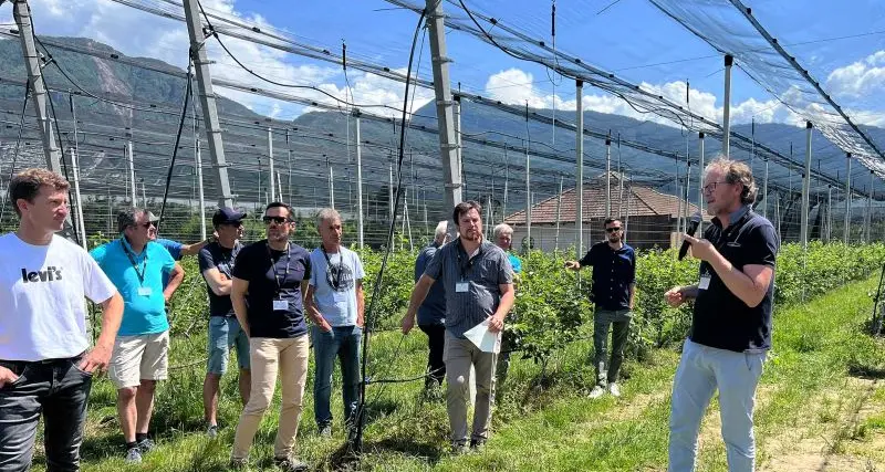 Al Centro Laimburg il meleto del futuro: si testa un impianto automatizzato