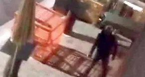 Bolzano, gestore aggredito e picchiato a sangue nel suo locale