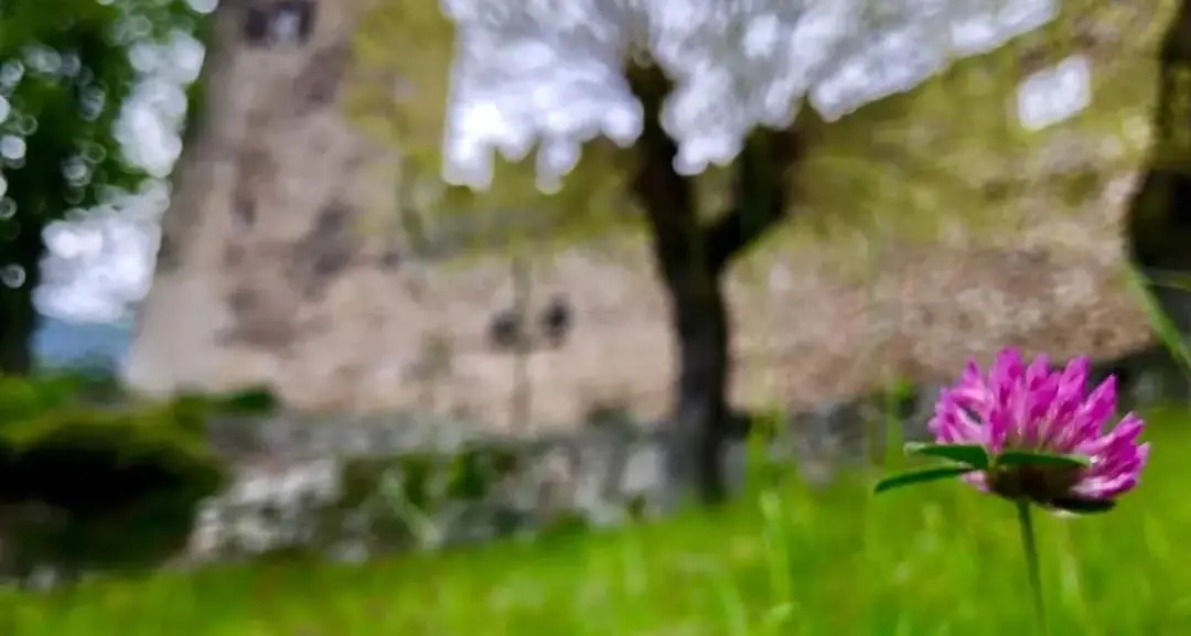 Domenica 19 maggio il castello di Avio fa passeggiare nella storia e nella natura