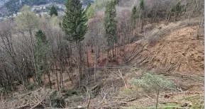 Sul Cimirlo un nuovo elettrodotto con 29 tralicci