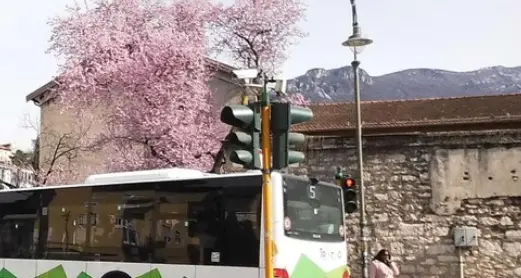 Trasporto pubblico a Trento, i sindacati chiedono più personale, corsie preferenziali e semafori intelligenti