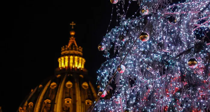 Ledro, fuoco incrociato sul Comune per l'albero di Natale donato al papa: petizioni e diffide