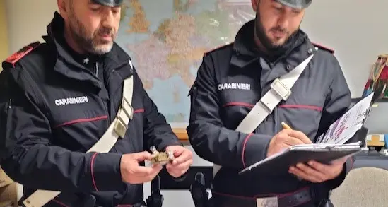 Fermati a un controllo stradale, avevano droga in auto: due ventenni denunciati nelle Giudicarie