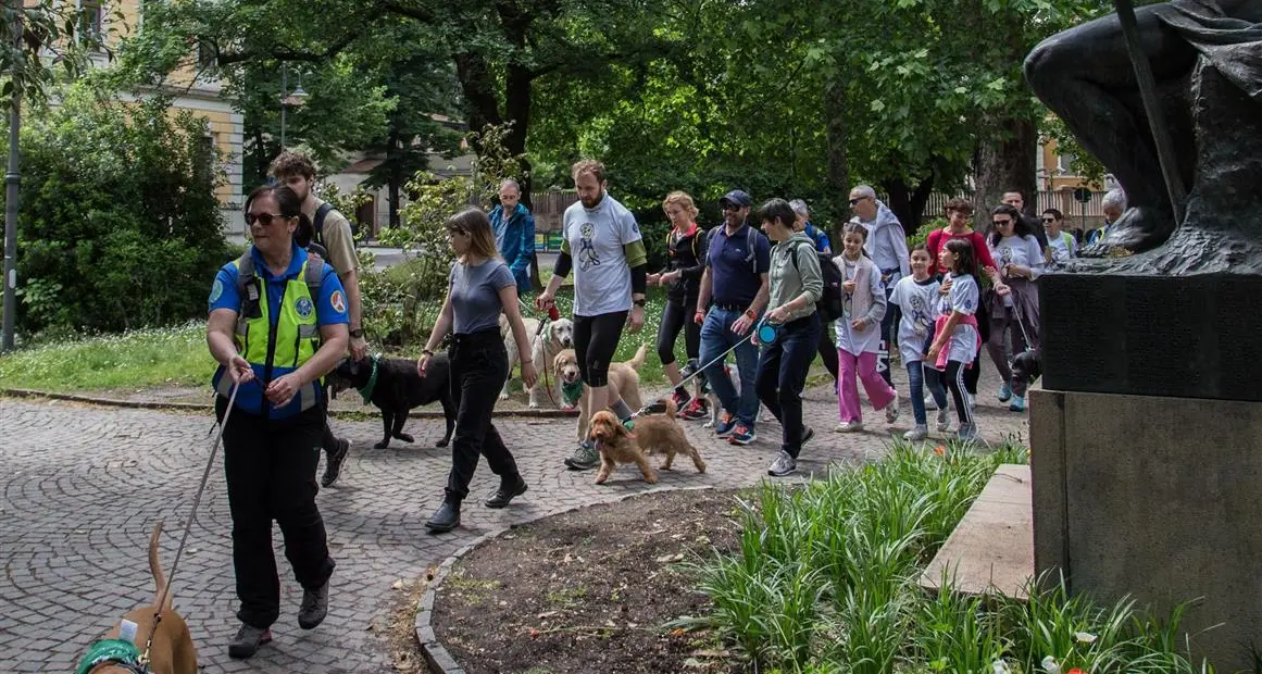Sei zampe, un grande cuore: a Riva la maratona con i cani