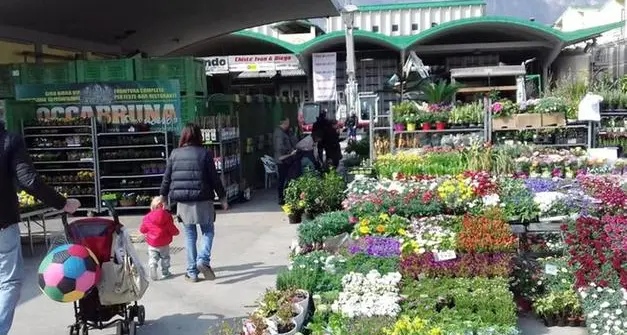Lavis, torna l'atteso appuntamento con la fiera della Lazzera