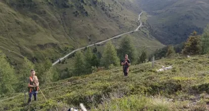 Al via il censimento degli uccelli alpini protetti in Alto Adige