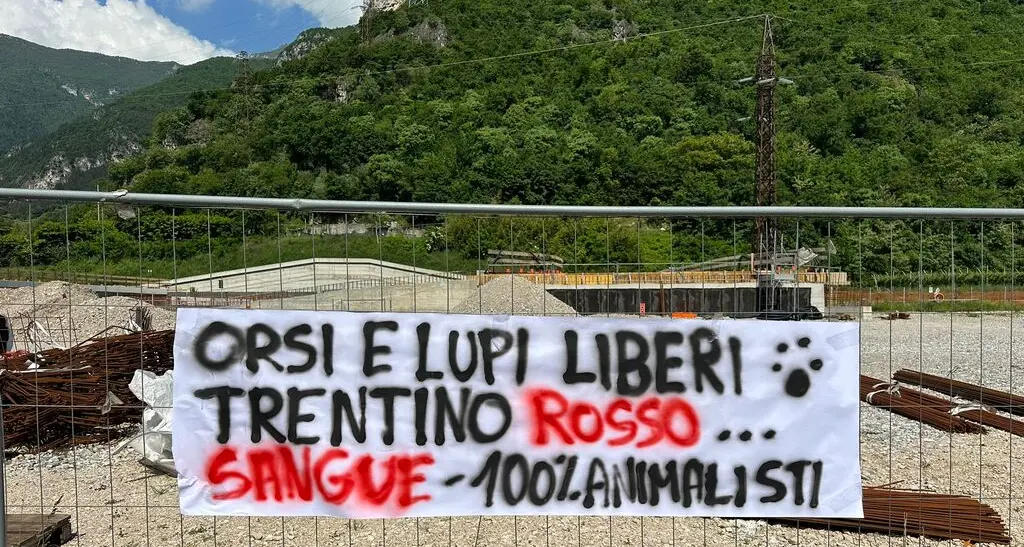 Nuovo blitz animalista in Trentino: \"Liberate orsi e lupi\"