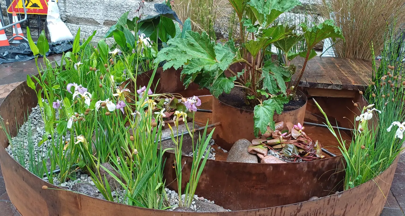 \"Fiori al centro\" 2025, torna il festival che porta la natura in città