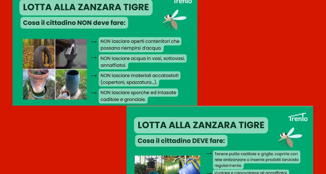 Scatta il piano anti-zanzare del Comune di Trento: larvicidi, trappole e stop ai ristagni d’acqua
