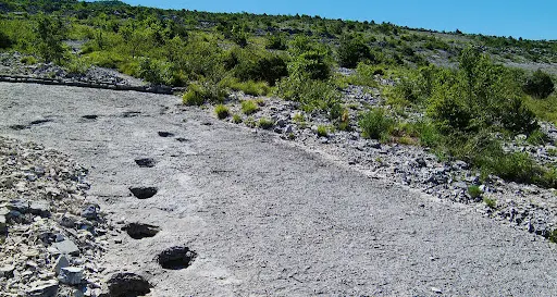 Percorso fra le orme dei dinosauri, dopo la riqualificazione anche i nuovi cartelli