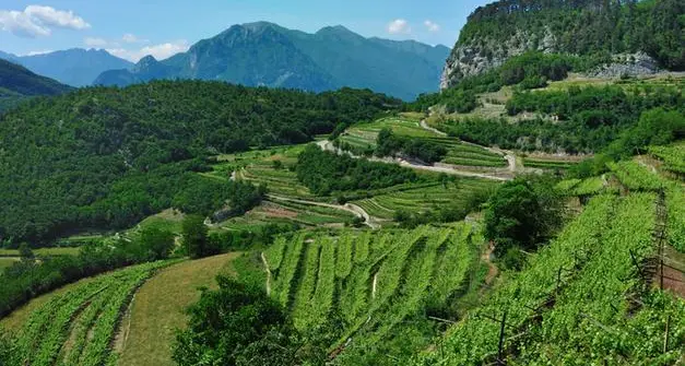 Coldiretti: nella Ue verso condizioni di maggiore sicurezza e remunerazione per i contadini