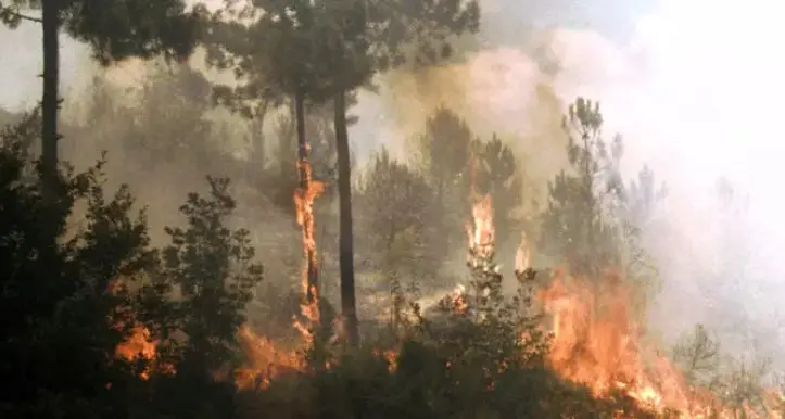 Copernicus: emissioni record quest'estate spinte dagli incendi in Spagna