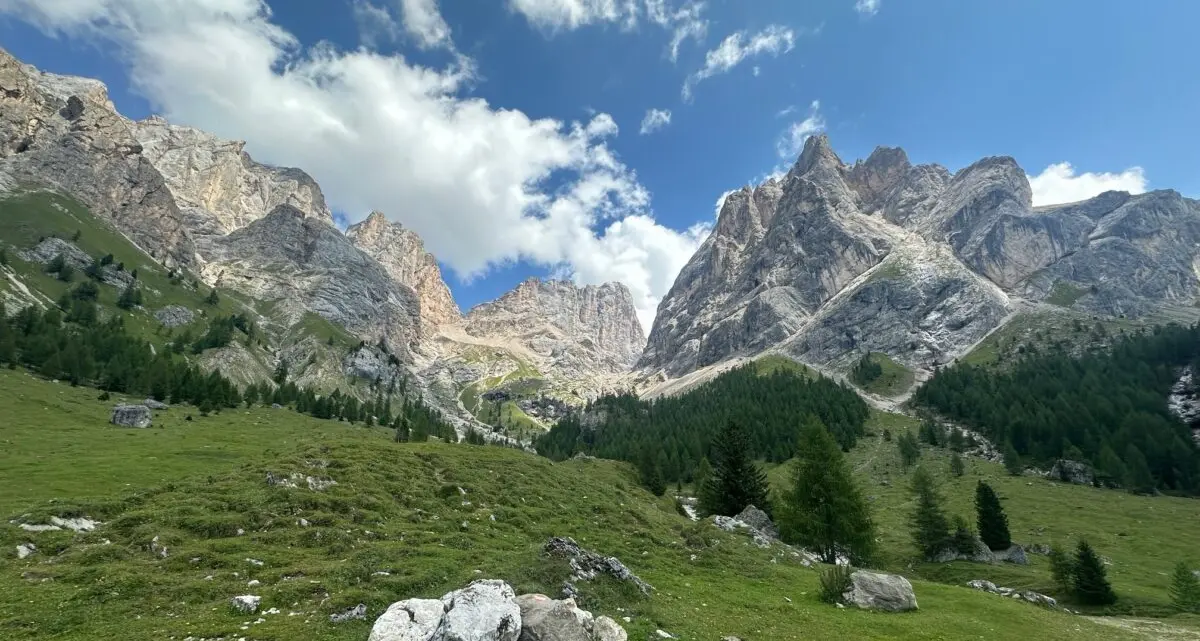 Ecologia, le Chiese cristiane invitano al dialogo sulla cura del Creato