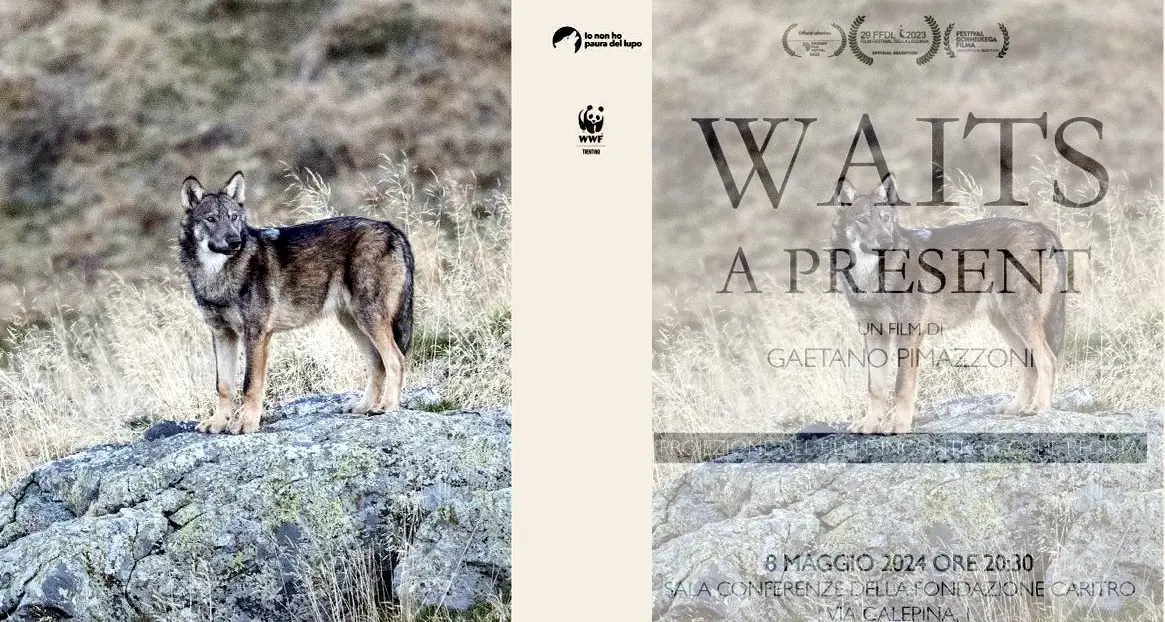 Dialogo sulla Lessinia e proiezione del docufilm sul lupo