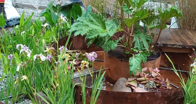 \"Fiori al centro\" si chiude con un incontro dedicato alle piante da interno