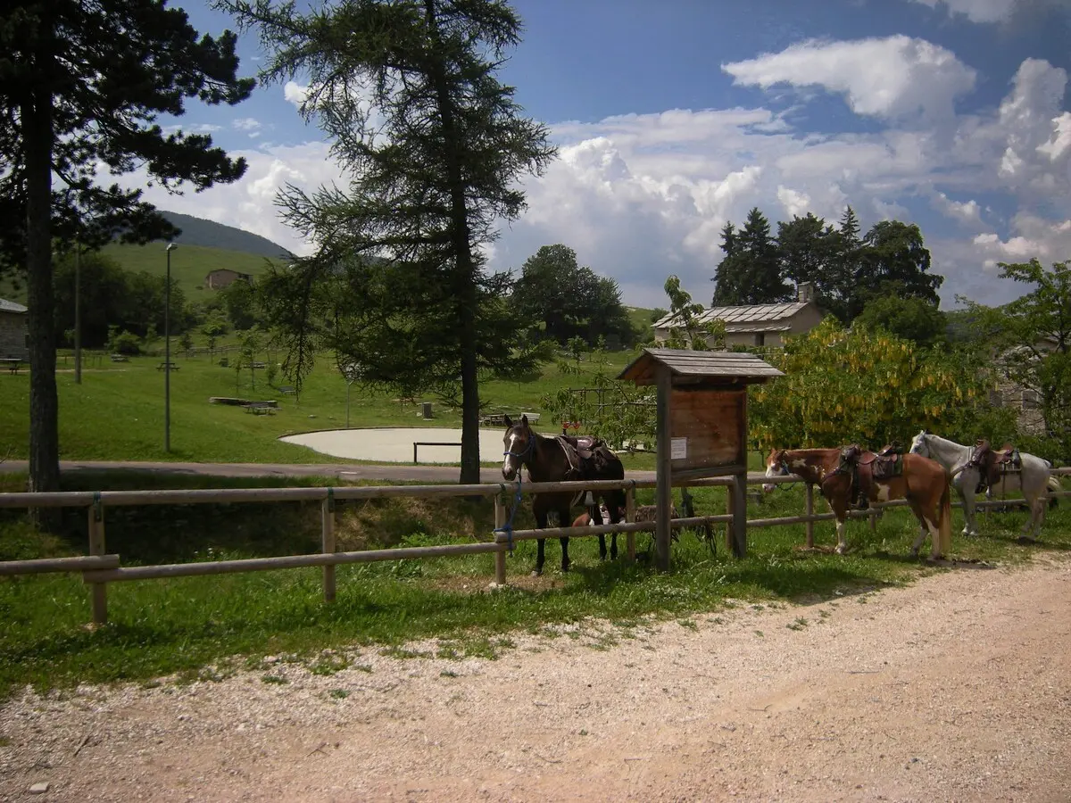 Sega di Ala - Lessinia trekking a cavallo (foto Zenone Sovilla)