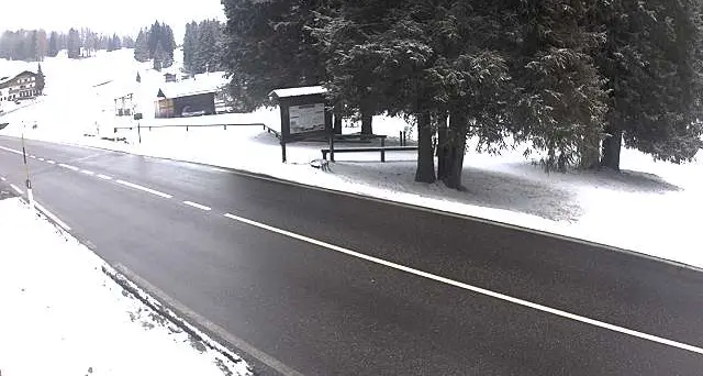 In Trentino arrivano altre nevicate anche a quote basse