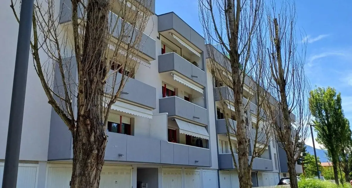 Diserbante iniettato nei pioppi lungo la ciclabile: tre alberi morti a Gardolo