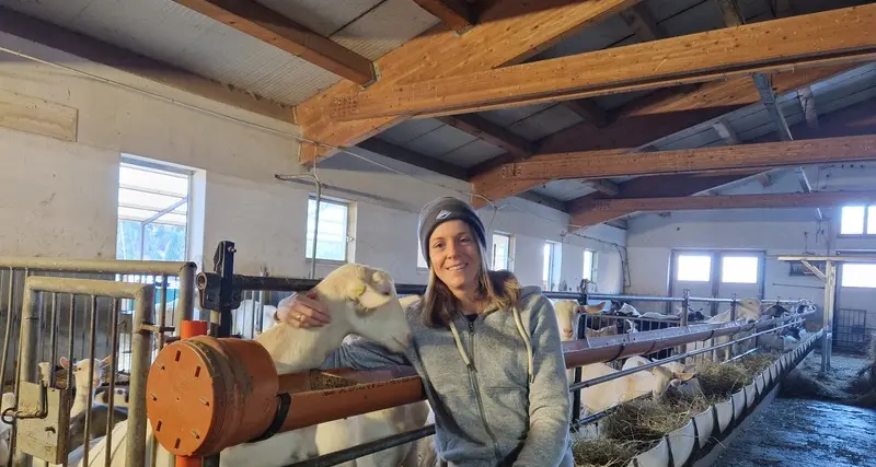 Fiemme: Alice Matricoti nell'azienda familiare, tra agritur, capre e pecore