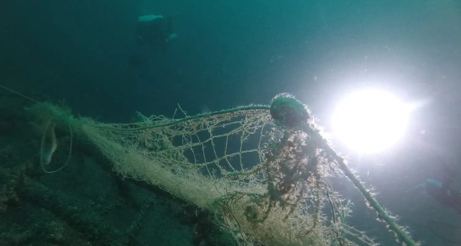 Recuperate reti da pesca abbandonate sui fondali, pericolo per la fauna acquatica