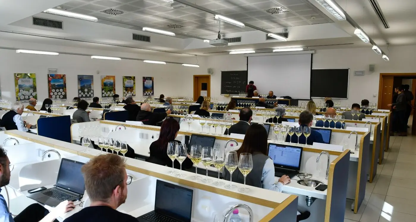 Vini da varietà Piwi, alla fondazione Mach la cerimonia di premiazione
