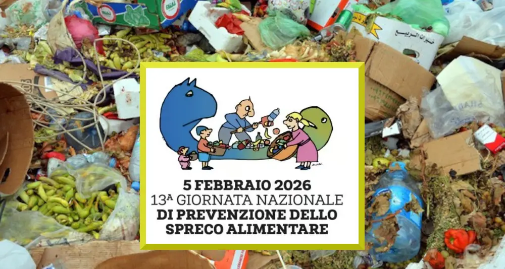 Stop allo spreco alimentare: la necessità dell'impegno di tutti