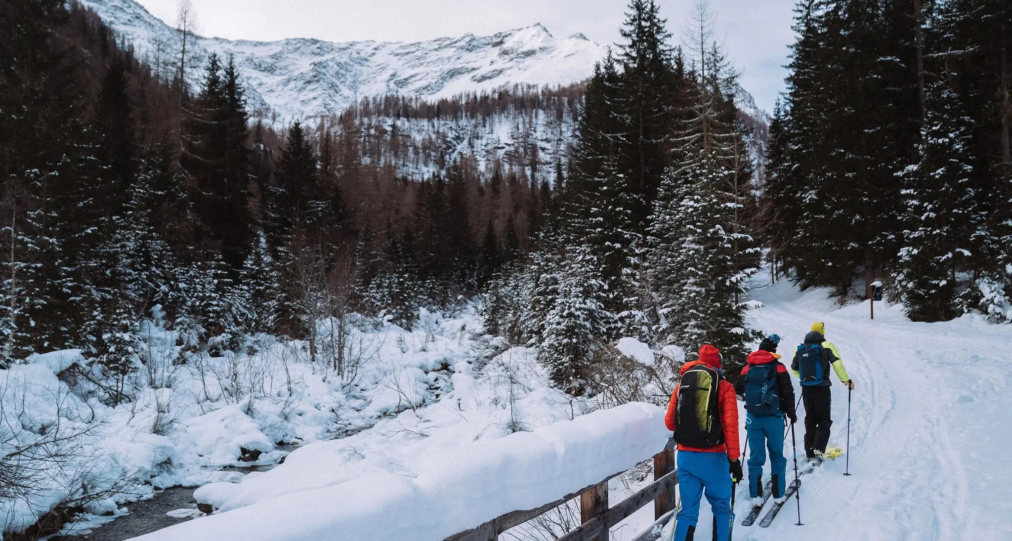 A piedi nel bosco: alla scoperta di Pontedilegno-Tonale con ciaspole e ramponcini