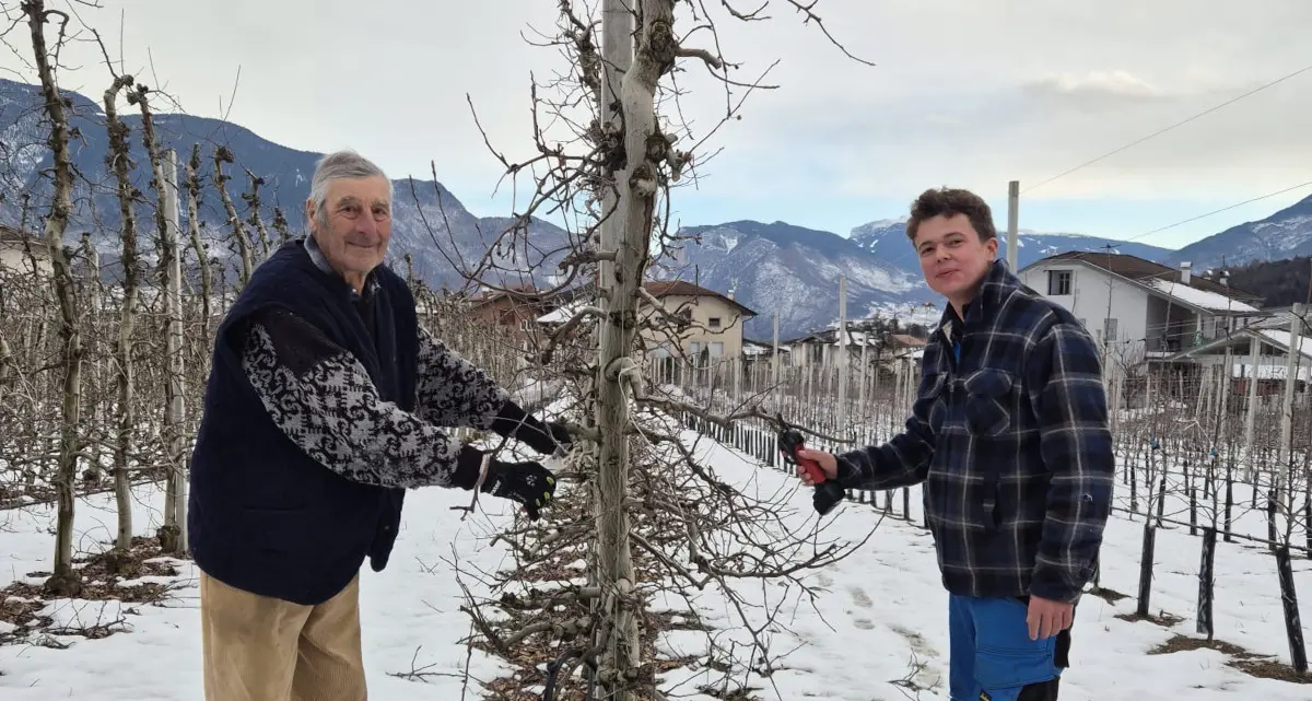 Val di Non, Nicolò Fedrizzi: tra le mele a 21 anni sulle orme del nonno