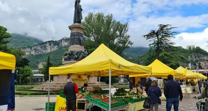 Transizione ecologica e sistema agroalimentare: Trento prepara il Piano del cibo