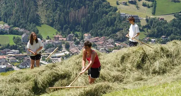 Alto Adige, 3 famiglie esemplari premiate con il \"Premio Contadini di Montagna\"