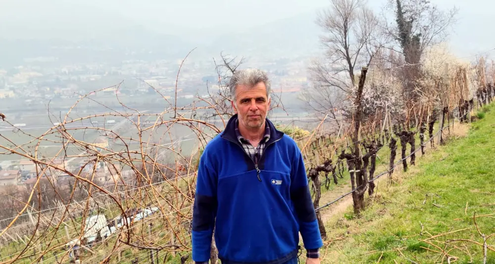 Brancolino, Tullio Parisi: futuro della viticoltura nelle piante resistenti alle malattie