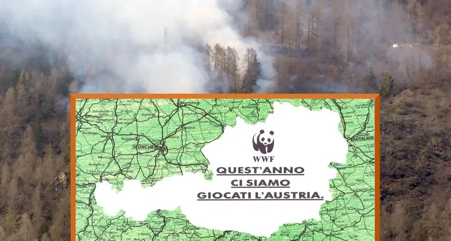 Allarme foreste, Wwf: in 35 anni ci siamo giocati l’Austria 26 volte