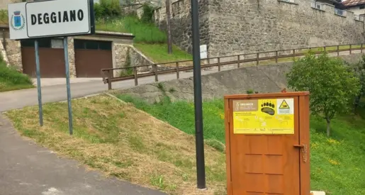 Cassonetti dell'organico \"blindati\" per non attirare gli orsi: la Provincia accelera