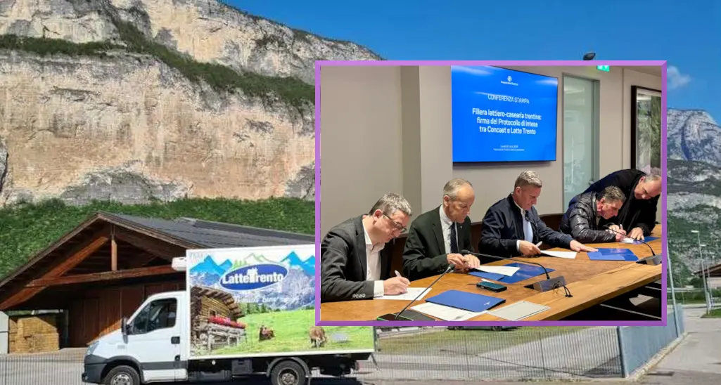 Lattiero-caseario trentino: l'importanza della pace fatta tra Concast e Latte Trento