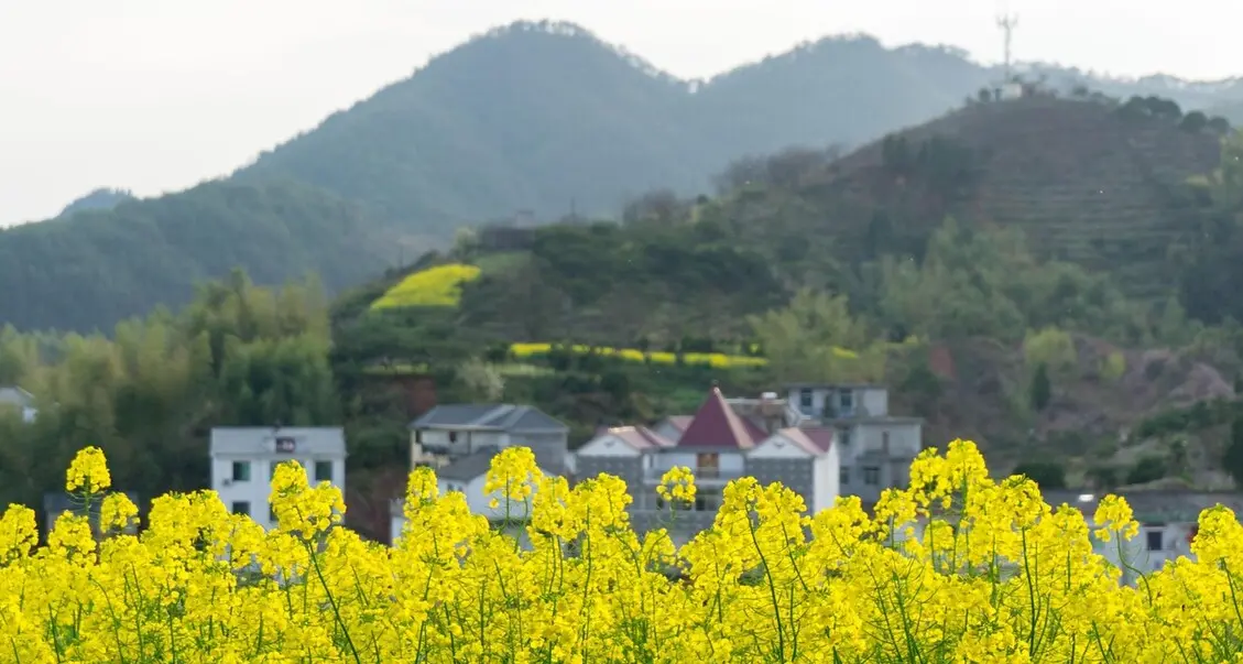 Agricoltura di montagna, in arrivo contributi: fino al 70% sopra i 1.200 metri