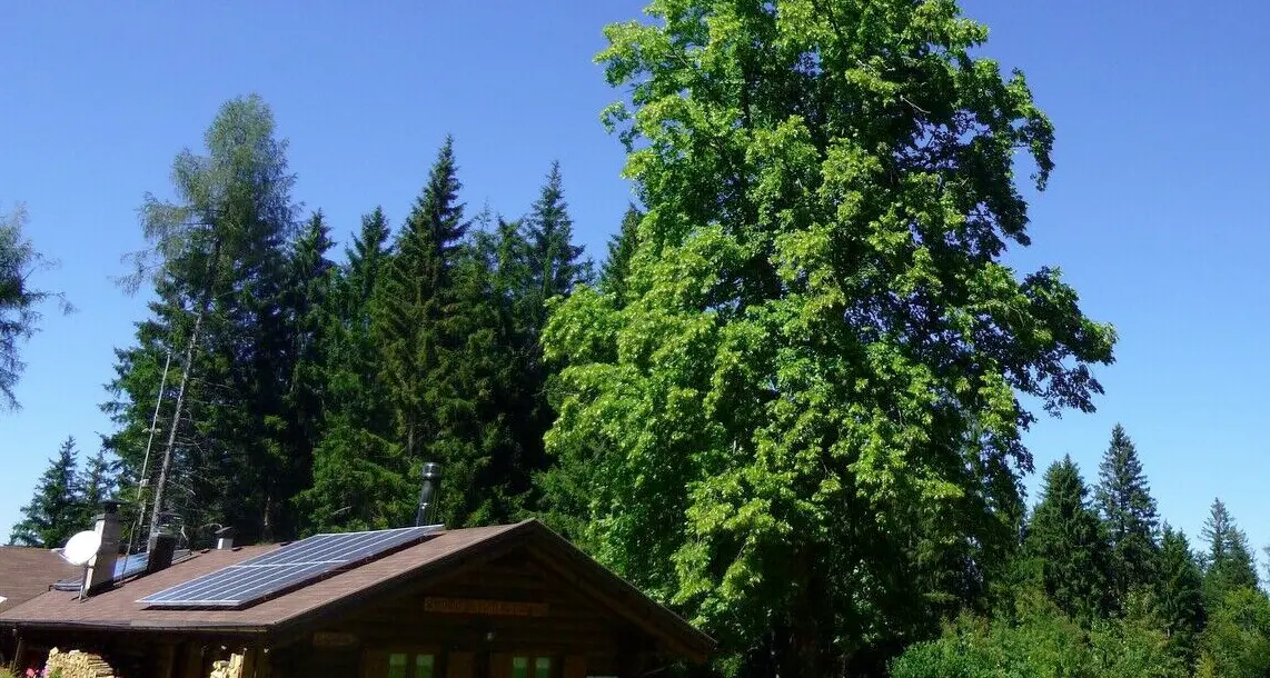 Rifugio Potzmauer e dintorni: scoprire la malga \"del Sgiaon\"