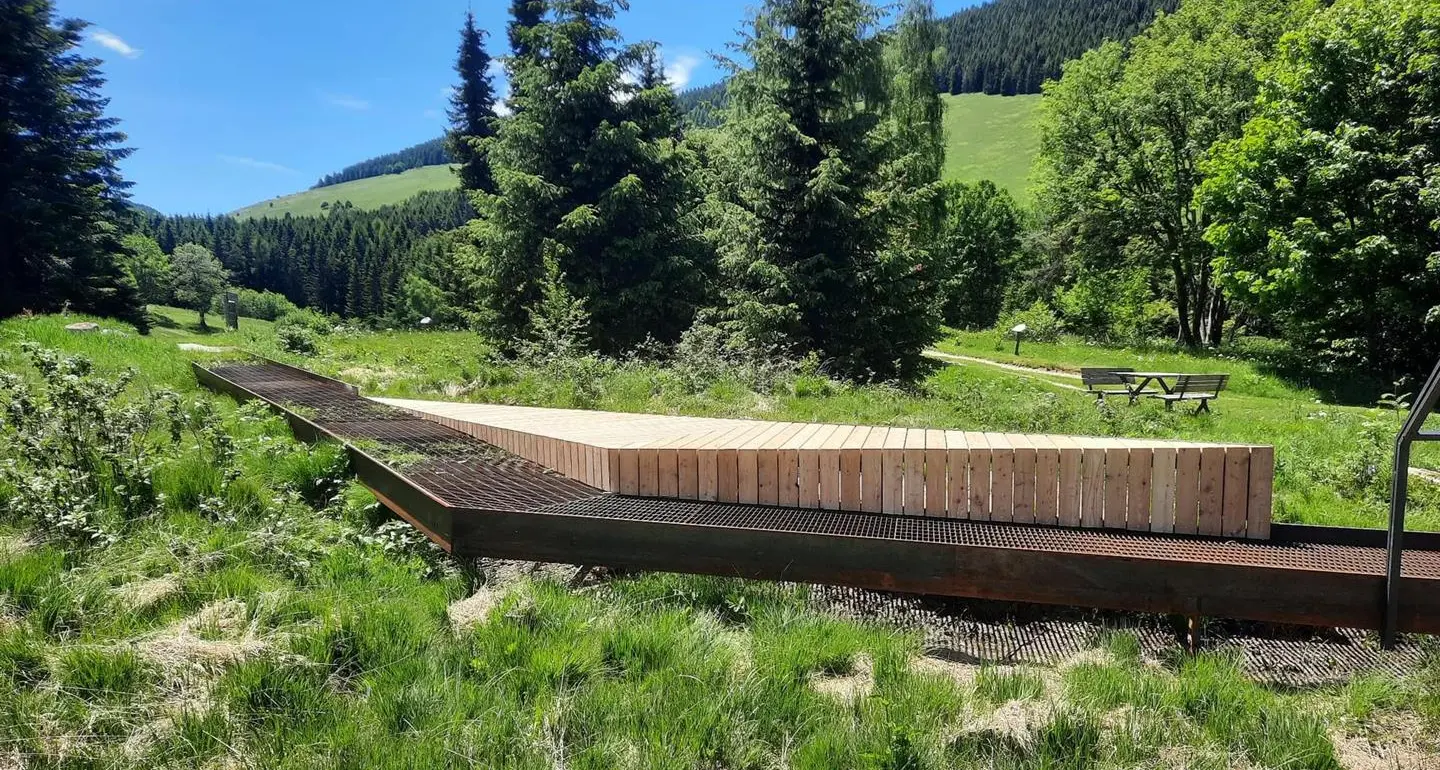 Ecosistemi umidi, biodiversità e acqua: il sostizio al Giardino botanico delle Viote