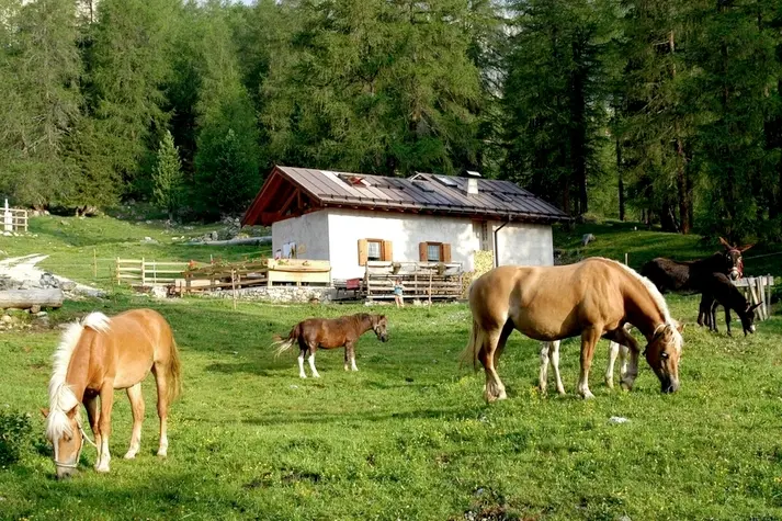 Catinaccio: alla malga Vaèl, fra le leggende del Rosengarten