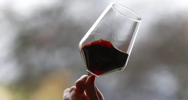Svelati i WineHunter Award 2026: 1.506 Gold e 213 candidati al Platinum
