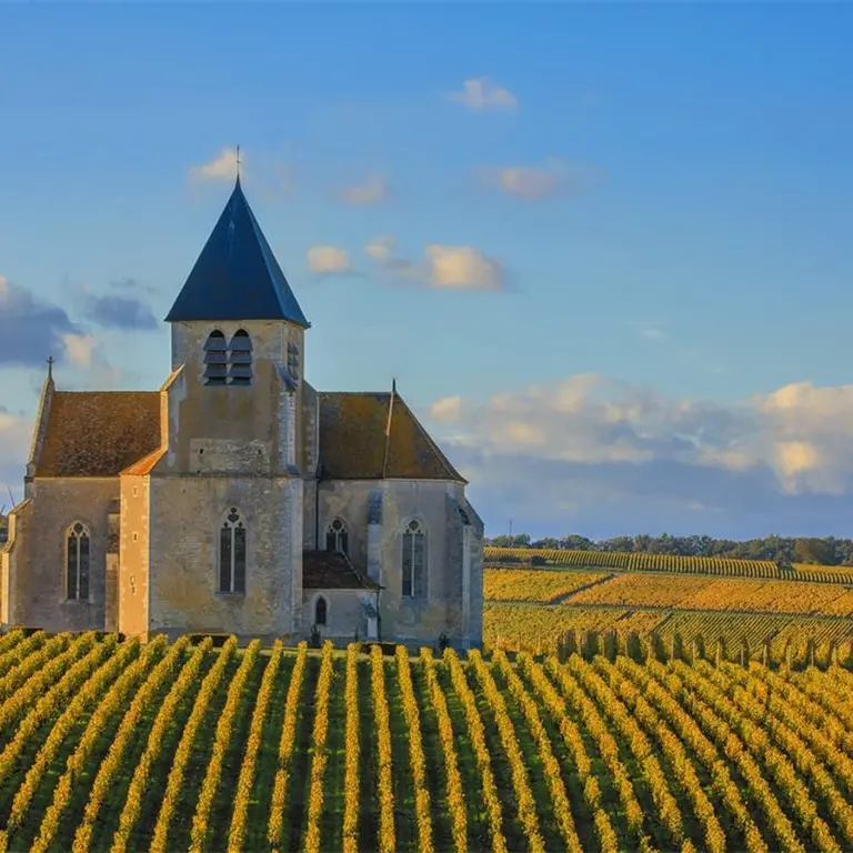 \"Autumnus. I frutti della Terra\": focus sulla Borgogna e i suoi mitici vini